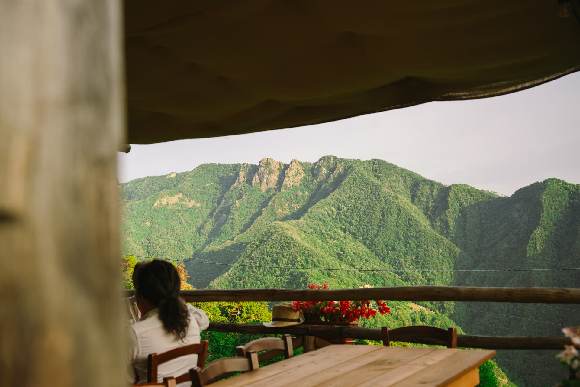 View from the terrace to forested mountains, guest at a wooden table under an awning, red flowers on the railing